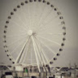 Meet your Posher, Evelyn